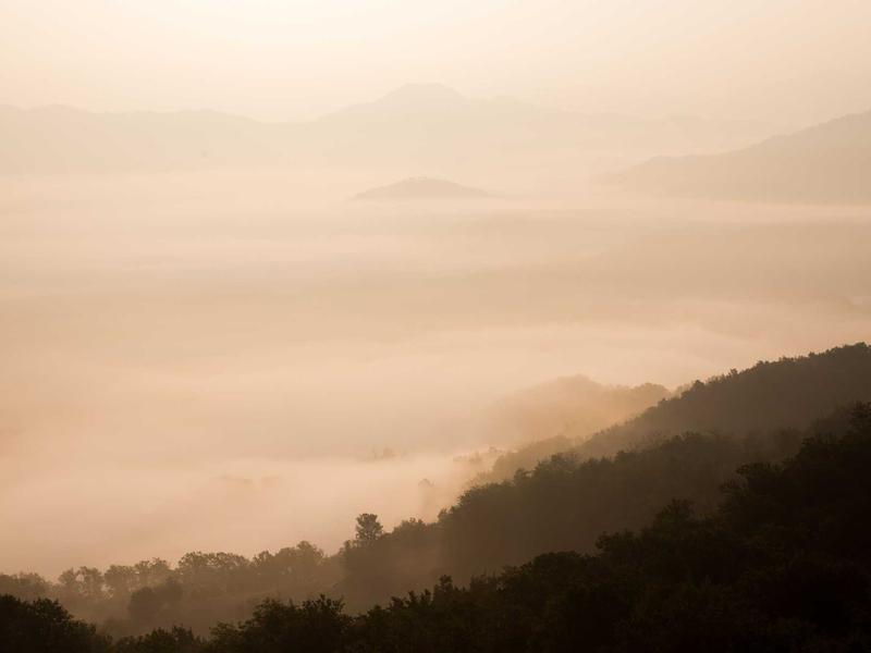 印象派日出<br>kclfxfu.cn 莫奈睡莲池